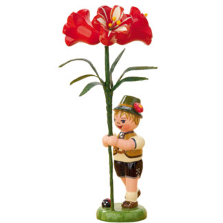 Blumenjunge - Amaryllis 11cm