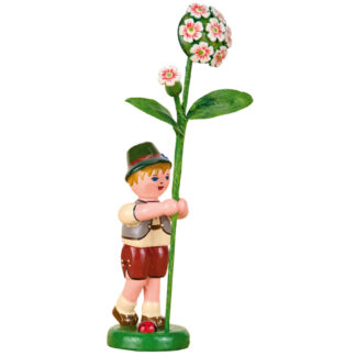 Blumenjunge - Bartnelke 11cm - Neu 2026
